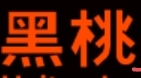 黑桃网站（免费）