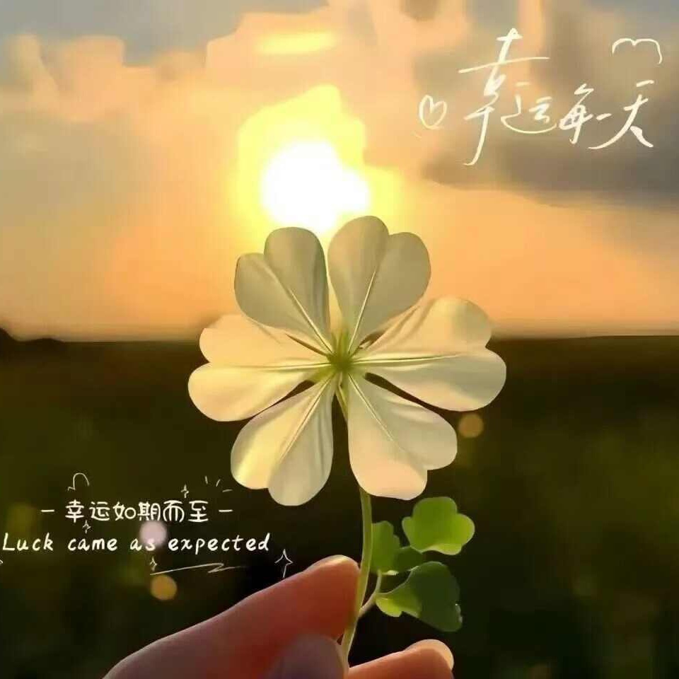 免费网站（包含有声小说）